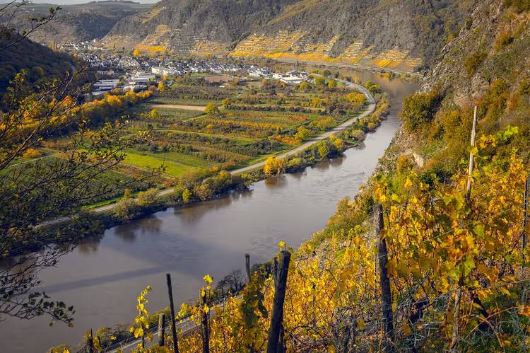 Mosel-Weinberge im Herbst über dem Fluss und einer kleinen Stadt