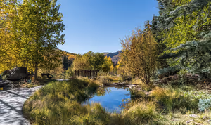 Colori d'autunno USA 2026: calendario del picco regione per regione