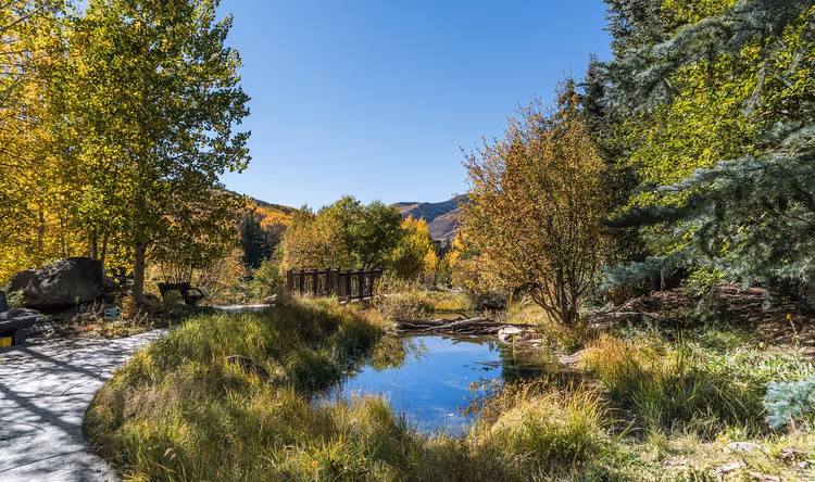 Kleiner Teich mit Holzsteg zwischen goldenen Espen und Nadelbäumen an einem sonnigen Herbsttag in den USA