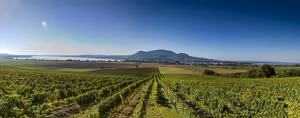 🍷 Morávia do Sul: rotas do vinho, castelos e vindima em setembro