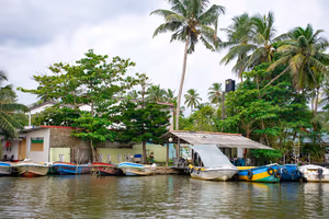 Bunte Motorboote am Flussufer unter Kokospalmen und Laubbäumen in Sri Lanka bei bedecktem Himmel