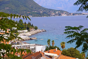 Bucht in Montenegro mit kleinen Booten auf blauem Wasser, Terrakottadächern und Palmen unterhalb grüner Berghänge