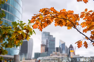 Wann nach London reisen: Mai, September und günstiger Winter