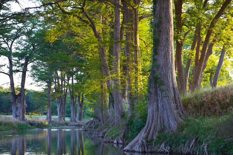 Jacob's Well in Texas: waarom zwemmen gesloten is en hoe je het vanaf de oever ziet