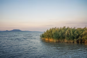 Balaton: Warum das Wasser trüb wirkt und wo es sicher zum Schwimmen ist