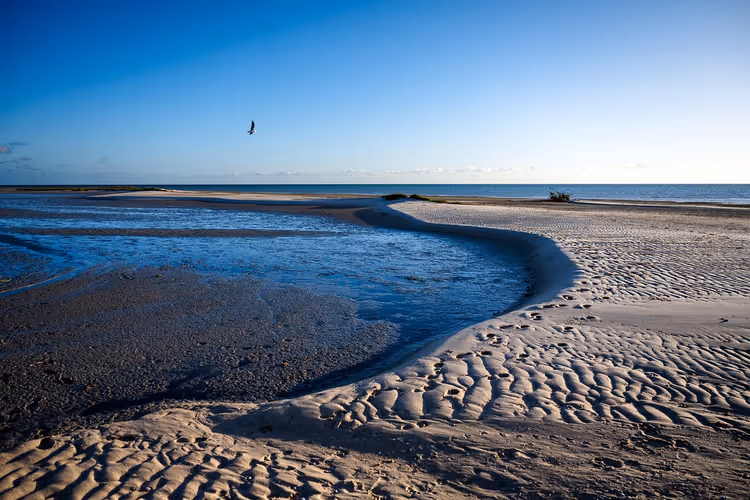 Monkey Mia-stranden med tidevannsbekker og hav