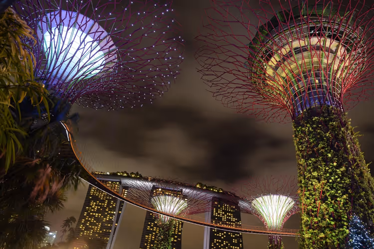 Leuchtender Supertree am Abend und Marina Bay Sands