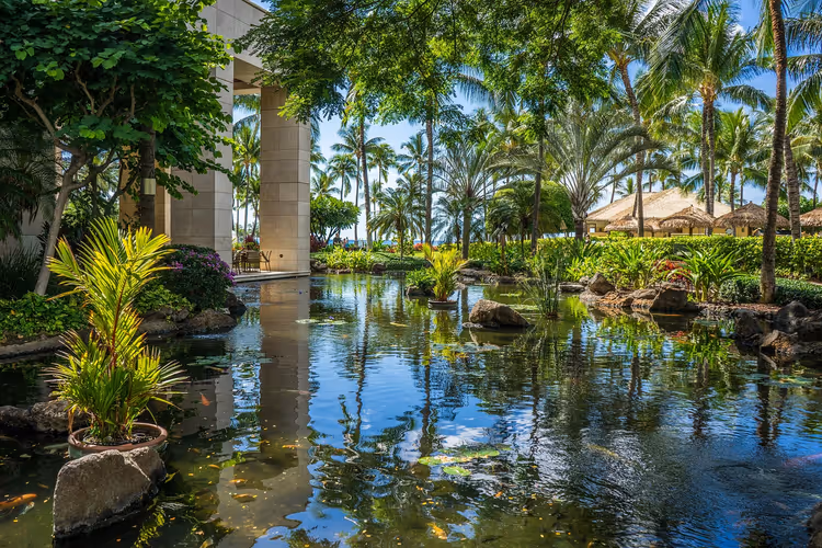 Resort tropical garden with a pond and palm trees