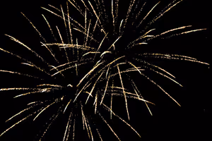 Goldenes Feuerwerk, das in langen funkelnden Schweifen vor einem schwarzen Nachthimmel zerplatzt
