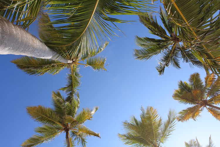 Çocuklarla Punta Cana: çocuk kulüplü ve su parklı 15 otel