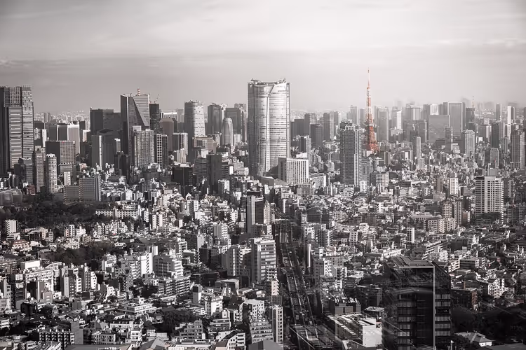 Panorama von Tokio mit Tokyo Tower und Wolkenkratzern