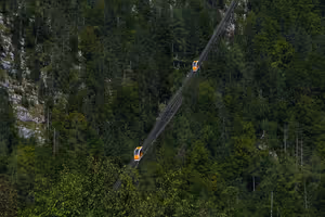 Zwei orangefarbene Standseilbahnwagen begegnen sich auf steiler Strecke im dichten Nadelwald an einem felsigen Berghang