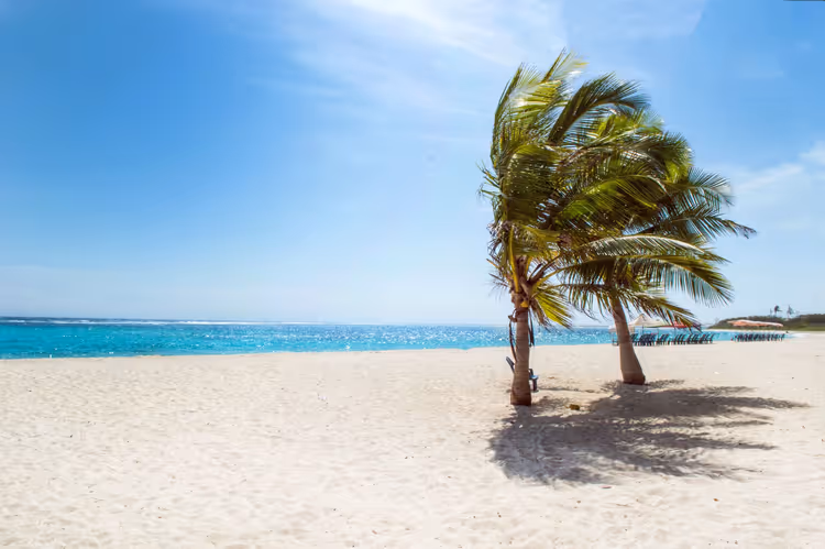 Palmbomen op wit zand aan de turquoise zee