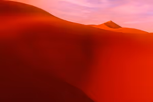 Kalahari: red dunes, lions at waterholes and when to go