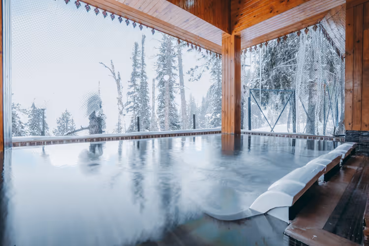 Piscina interior com vista para uma floresta de inverno