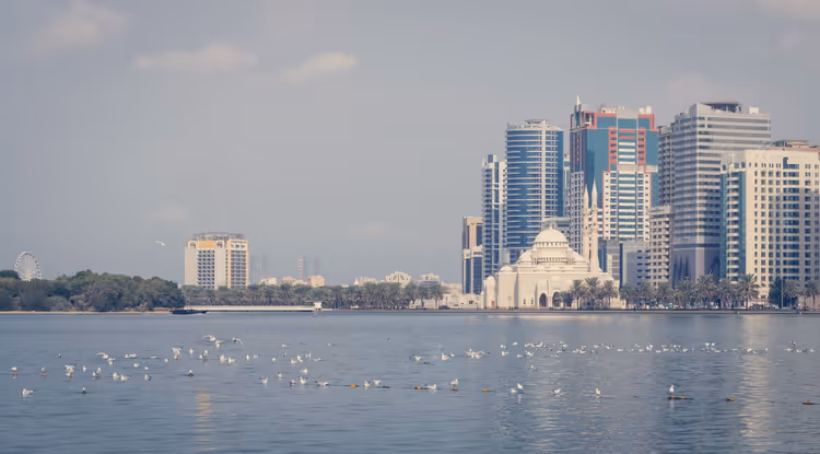 Sharjahs skyline med skyskrapere og måker over vannet