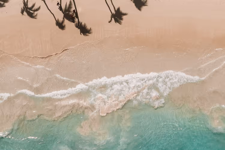 Strand met palmbomen en turquoise water van bovenaf