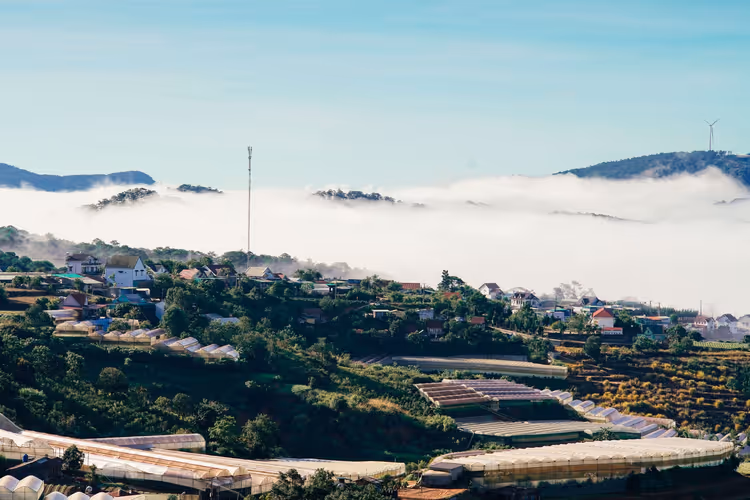 Häuser und Gewächshäuser am Hang in Da Lat über einer dichten Wolkendecke im Tal, dahinter erheben sich Hügel