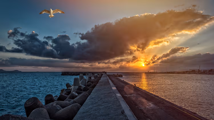 Sonnenuntergang im Hafen von Rethymno mit einer Möwe und Wolken