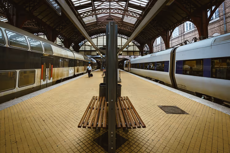 Andén de la estación con trenes a ambos lados