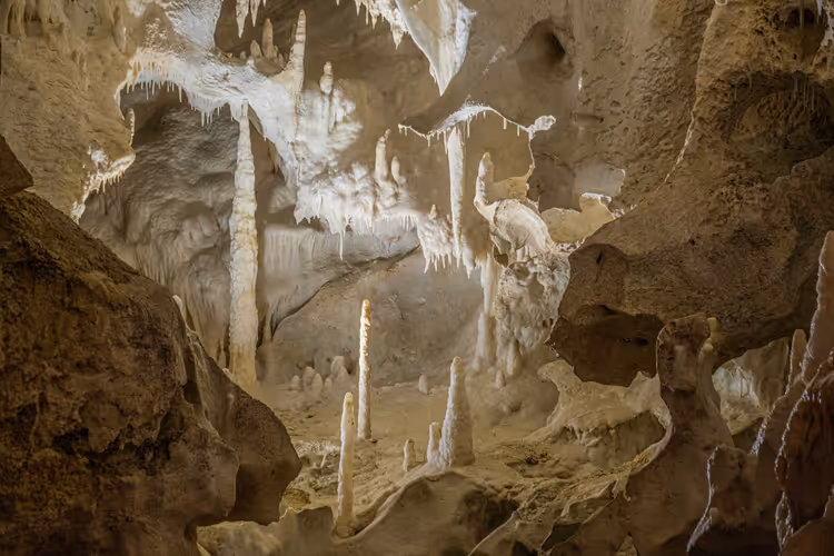 Carlsbad Caverns i New Mexico: billett, ruter og flaggermusflukt