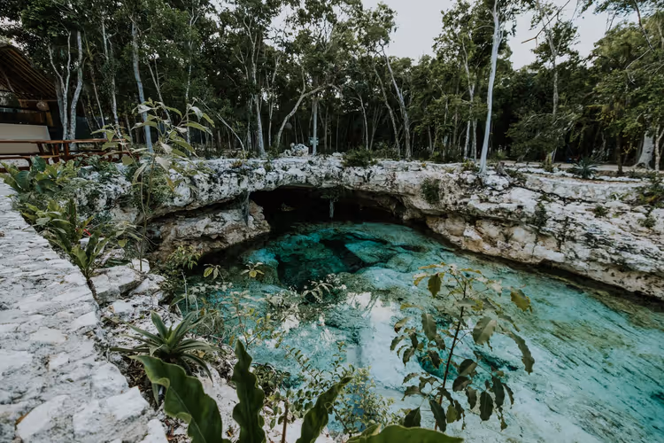 Cenote, jossa on kirkas vesi trooppisessa viidakossa
