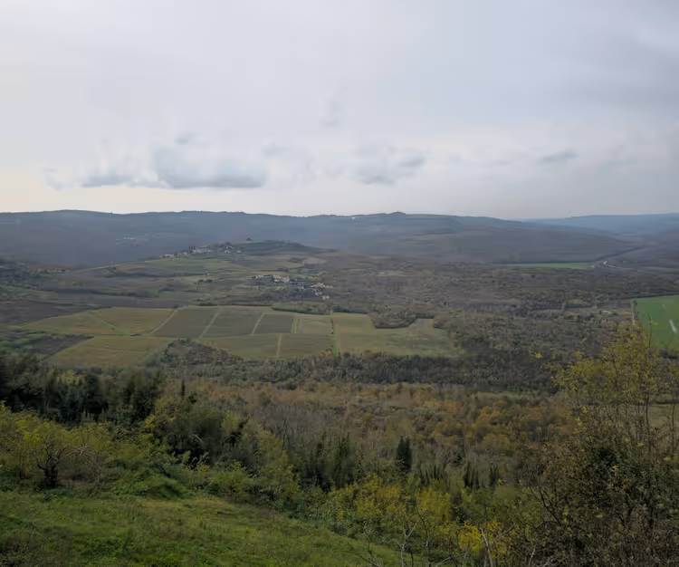 Istrische Hügel mit Weinbergen und Feldern bei Motovun