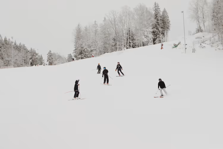 Gruppo di sciatori in abiti scuri che scende lungo un'ampia pista innevata fiancheggiata da alberi coperti di brina in Svezia