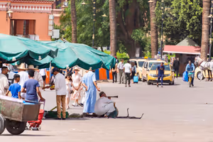 مراكش للرحالة الرقميين: العمل والسكن والأسعار 2026