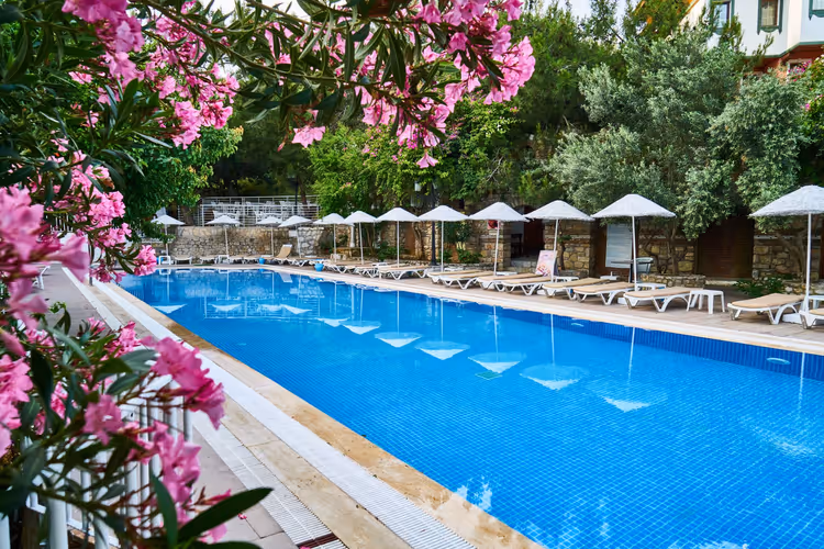Blau gefliester Hotelpool, gesäumt von weißen Sonnenschirmen und Liegen, eingerahmt von rosa Oleanderblüten