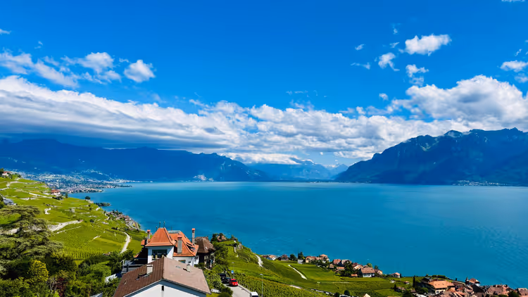 Wijngaarden van Lavaux op de hellingen boven het Meer van Genève