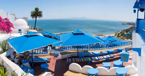 Tunus'ta tatil: tatil köyleri, oteller ve deniz için ne zaman gidilir