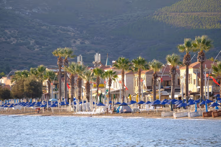 Spiaggia fiancheggiata da palme con file di ombrelloni blu e case basse sotto un pendio verde in una località balneare turca