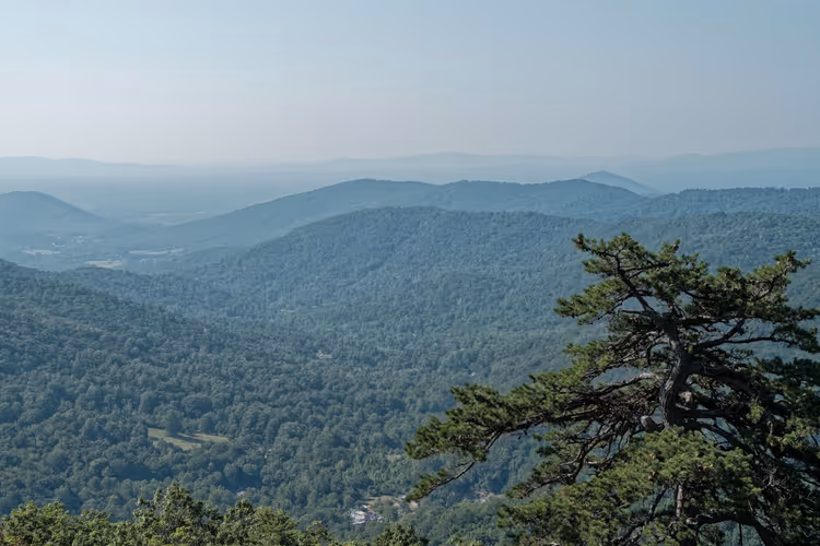 Bewaldete Bergrücken der Shenandoah im leichten Dunst