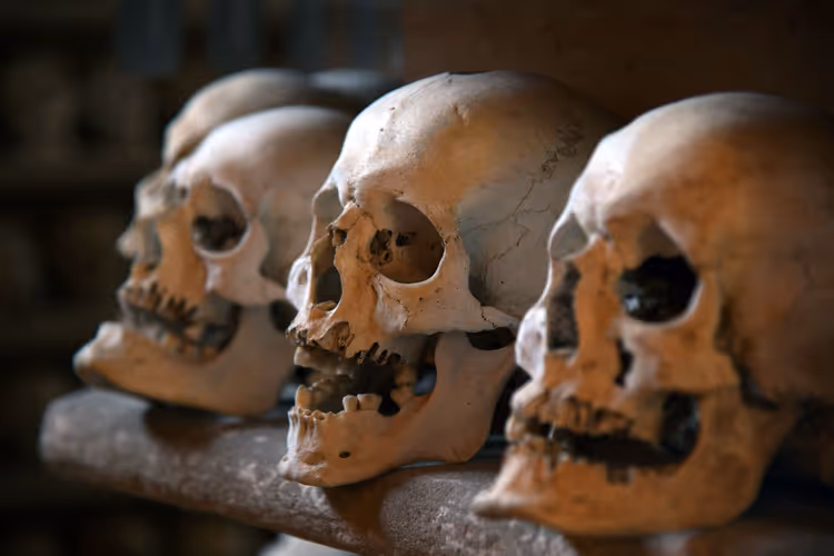 Kutna Hora kemikliğinde neler görülür ve bilet nasıl slotlarla alınır