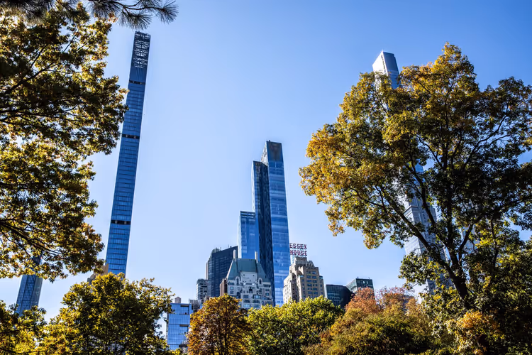 Central Park im Herbst mit Bäumen vor der Skyline von Manhattan