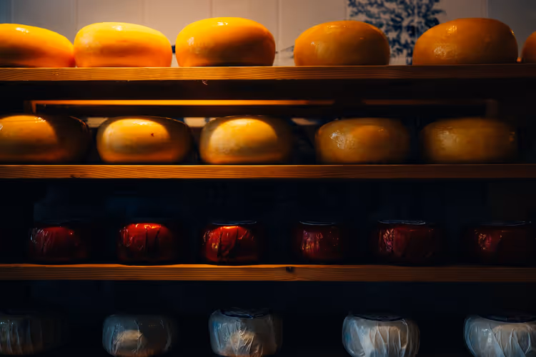 Gouda- und Edamer Käselaibe auf hölzernen Ladenregalen