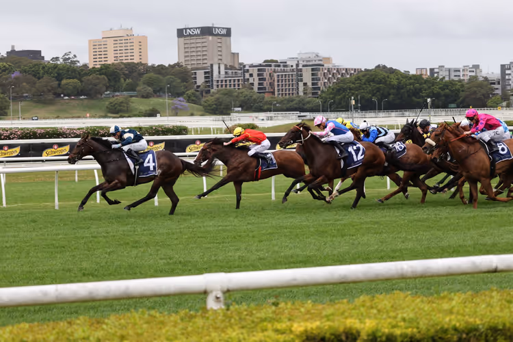 Jockeys in bunten Rennfarben auf Vollblutpferden im Rennen auf einer Grasbahn, dahinter Stadtgebäude