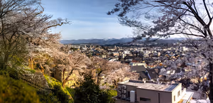Milyonlarca turist neden Japonya'yı seçiyor