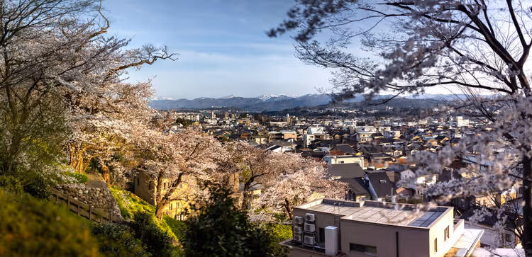Milyonlarca turist neden Japonya'yı seçiyor