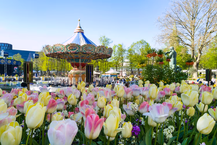 Wiosenne tulipany i karuzela w Tivoli