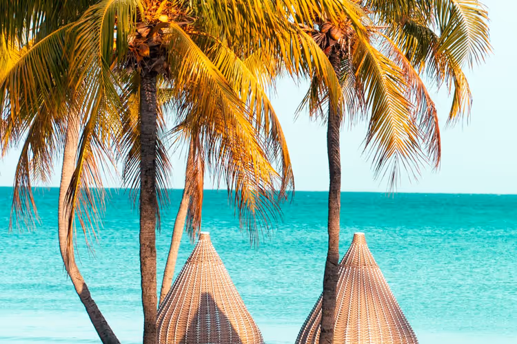 Strand van Varadero met palmbomen aan de oceaan