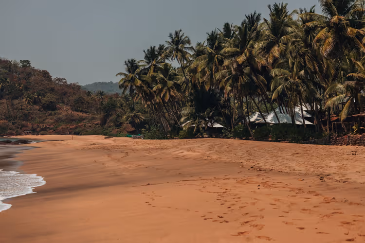 Leerer Abschnitt goldenen Sandes mit Fußspuren, dahinter hohe Kokospalmen und Strandhütten in Goa