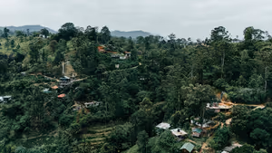 Kleine Häuser verstreut an einem bewaldeten Hang mit Terrassen in Sri Lanka unter bedecktem Himmel