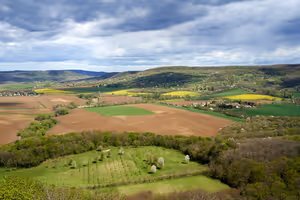 Tokaj og Nyiregyhaza: en vinrute gjennom det østlige Ungarn