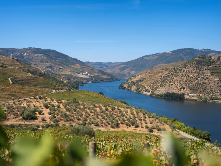 Douro-Tal mit terrassierten Weinbergen