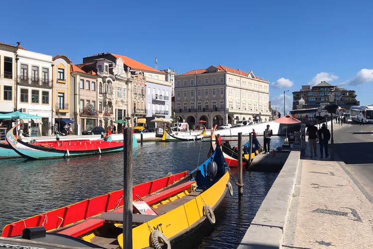 Moliceiro-båter på en kanal i Aveiro