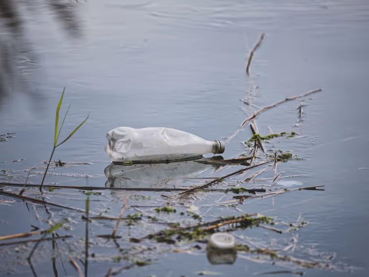 Weggeworfene Plastikflasche treibt in verschmutztem Wasser
