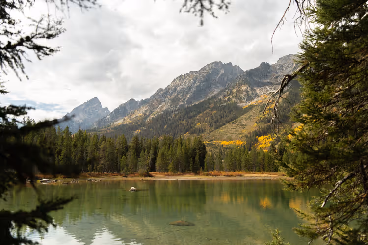 Jenny lake in Grand Teton: hoe je er komt en wat je kunt zien
