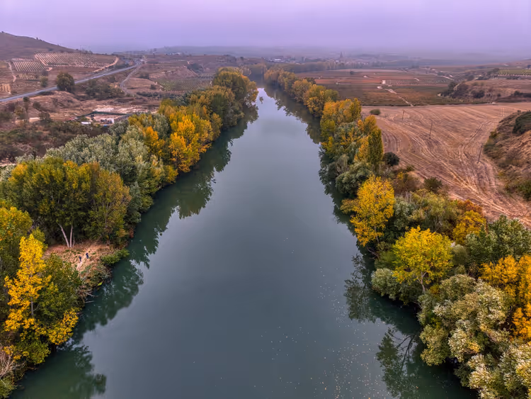 Luftaufnahme eines ruhigen Flusses mit gelben und grünen Herbstbäumen am Ufer, gepflügte Felder und Weinberge im Nebel, Spanien